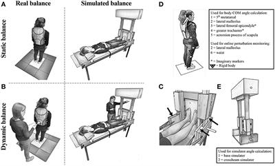 A Novel MRI Compatible Balance Simulator to Detect Postural Instability in Parkinson's Disease